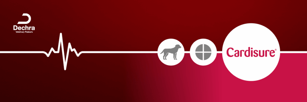 cardisure 0821 web banner 1140x380 1
