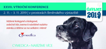 cavlmz2019