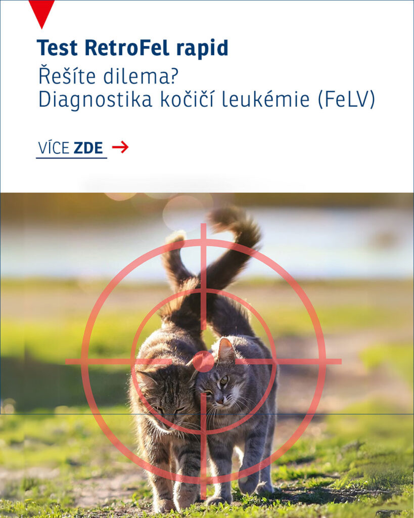 cymedica seminar 1080x1350px retrofel cz