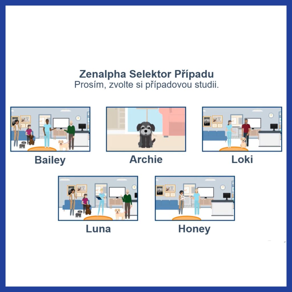 dlazdice zenalpha