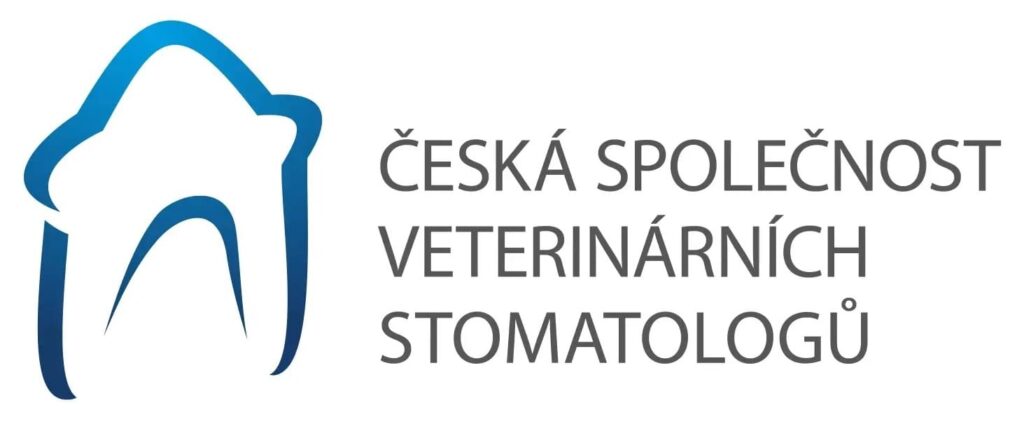 logo csvs 1