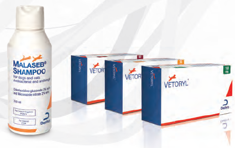 malaseb schampoo a vetoryl 1