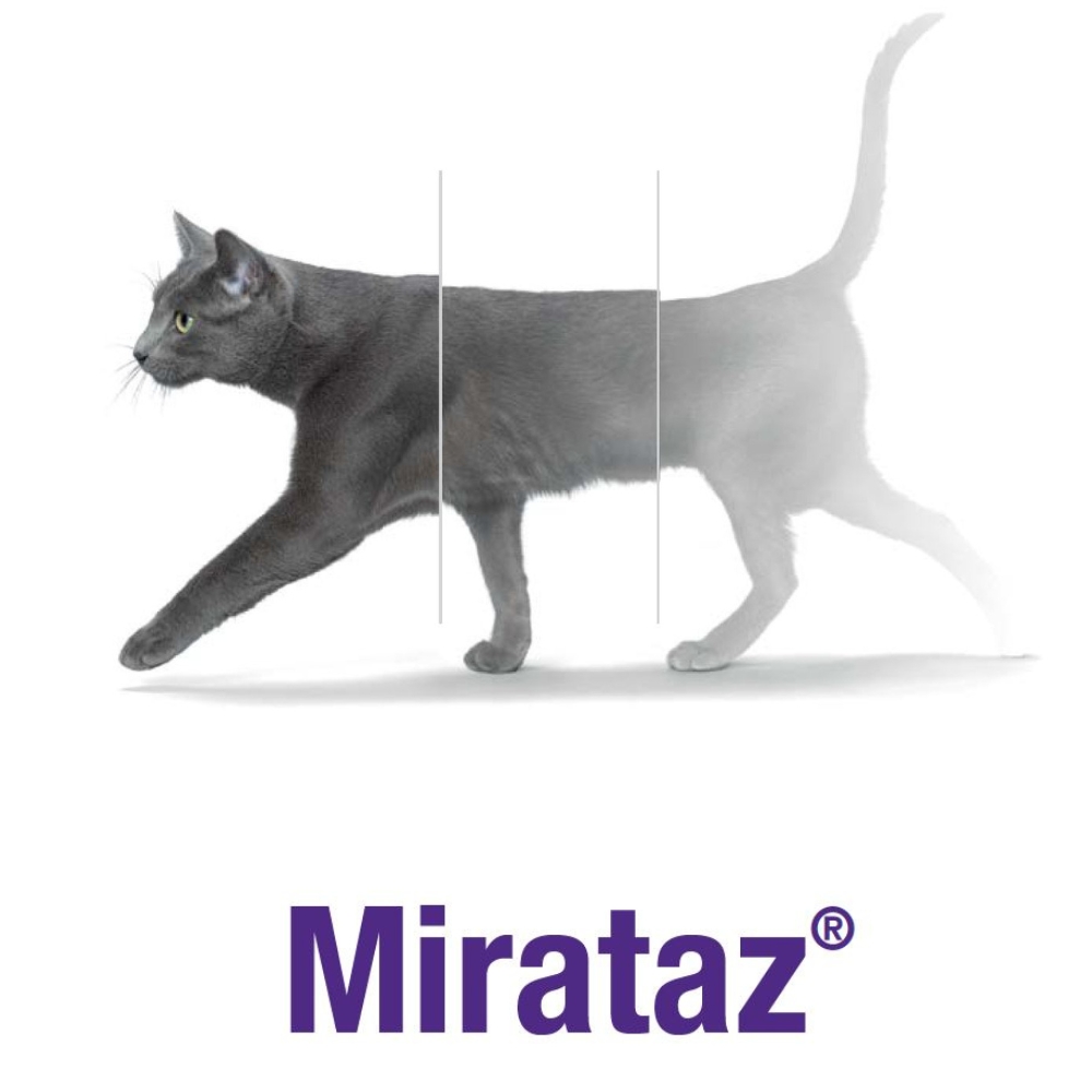 mirataz kocka s logem