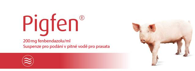 pigfen200