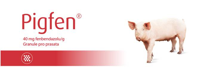pigfen40