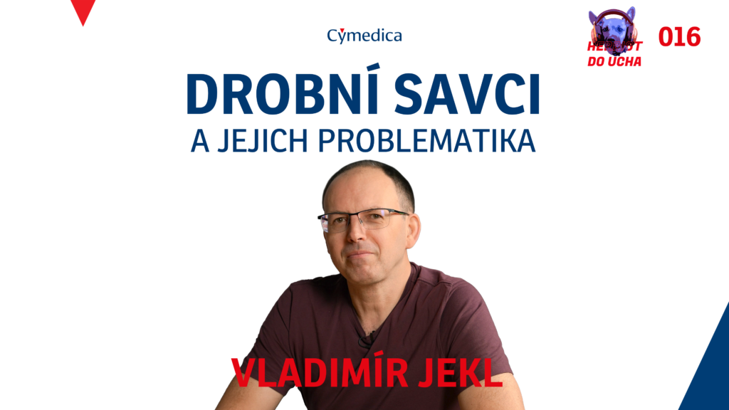 podcast 016 16 9 cz