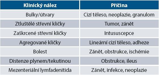 vystrizek 6