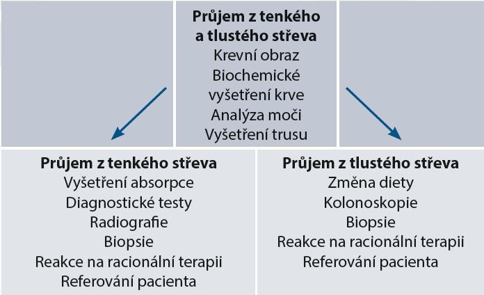 vystrizek 7