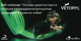 46837 Baner Vebinar