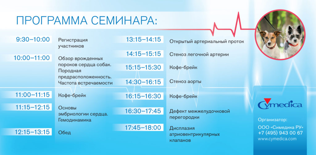 Seminar cardio